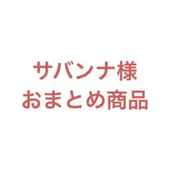サバンナ@ゆうメル便変更可能様 リクエスト 2点 まとめ商品