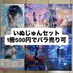 6冊セット いぬじゅん スターツ【君が 今夜、きみの 十月の 10年分の涙など】