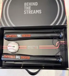 Item thumbnail for item 8621bc05-2074-4735-a86d-f284b2750598