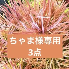 ちゃま様専用　3点