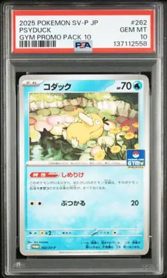 【PSA10】コダック ジムプロモ しめりけ 262/SV-P 102