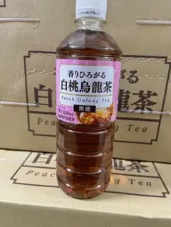 Item thumbnail for item 90ebbbde-7459-4747-aef8-f5cf77a4b1d9