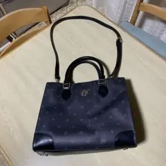 Item thumbnail for item c0018446-794b-4083-86fa-129b19117d4d