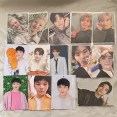 ウジ トレカ SEVENTEEN 14枚