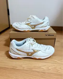 MIZUNO WAVE FANG PRO 27.0 箱付き使用3回のみのサムネイル