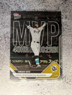 Item thumbnail for item f751415e-2997-4fa8-9f86-dabc347aff59