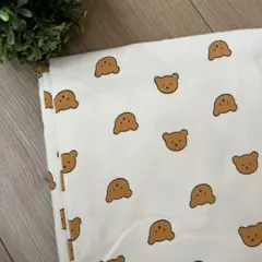 Item thumbnail for item 2d04113f-ce34-4d7f-a539-062182fe7aaa