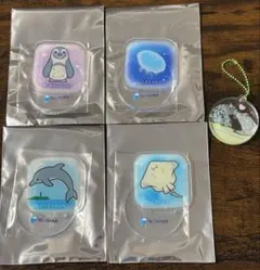 ペンギン クラゲ イルカ エイ アザラシ えのすい アクスタ