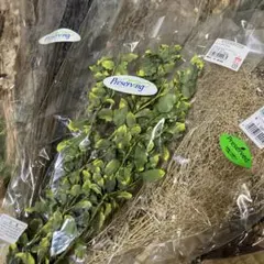 ドライフラワー花材セット