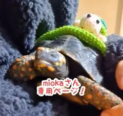 mioka様専用！コンパクトサイズ！