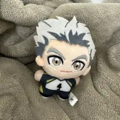 ハイキュー!! 木兎光太郎 ぬいぐるみ マスコット
