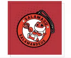 Item thumbnail for item 95bc65e6-f61b-4f04-b421-7b6866f2abf7