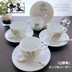 貴久屋★『山野草』アソート カップ&ソーサー★４客★スプーン付き★未使用