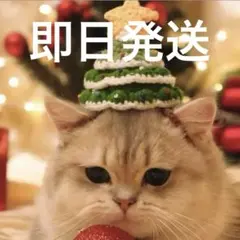 Item thumbnail for item 7291b7a8-fdbb-4807-b538-fee67febeb42