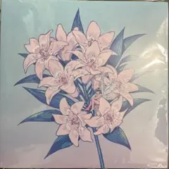 角舘健悟 cassette tape 未開封品 Yogee New Waves - メルカリ