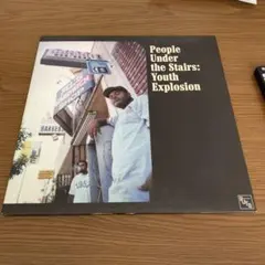 People Under the Stairs: Youth Explosion
