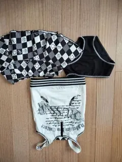 Item thumbnail for item c75281af-9440-4adf-bd7a-62d2b5531f58