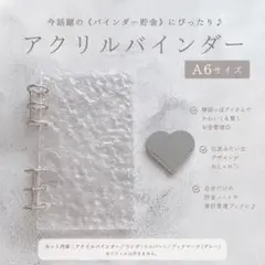 アクリルバインダー 単品 saving 貯金 A6 バインダー貯金 家計管理