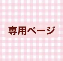 専用ページ