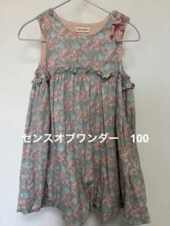 センスオブワンダー　ワンピース　100