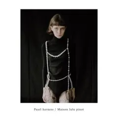 2026年最新】litmus パールハーネスの人気アイテム - メルカリ