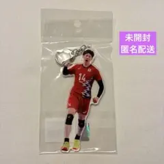 2026年最新】石川祐希 グッズの人気アイテム - メルカリ