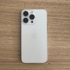 Apple iPhone13Pro シルバー 256GB