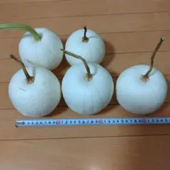 キラ様 リクエスト 2点 まとめ商品