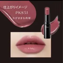 ゆ*〇様 ヴィセネンマクフェイクルージュPK851 わがままな肉球