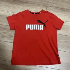 PUMA 赤 Tシャツ 140