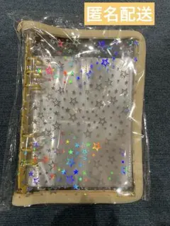 Item thumbnail for item 04c856ce-eec4-41a0-96b7-0fc273579ea5