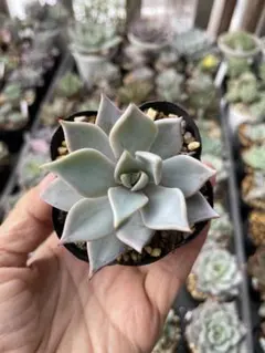 ゆか様 リクエスト 3点 まとめ商品