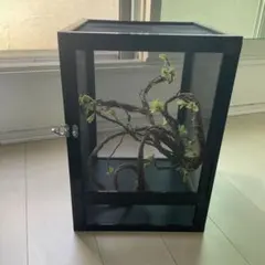 爬虫類ケージ 60×40×40 メッシュ アクリル扉 カメレオン ケージ ペット
