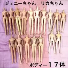 着せ替え人形 ボディ １７体セット リカちゃん ジェニーサイズ まとめ売り