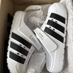 Item thumbnail for item 65dec8e9-efd9-4b44-aae0-9921722446d2