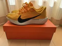 NIKE ペガサスプラス 27.5