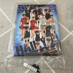 Item thumbnail for item 4c02f484-29ac-451a-8cdc-3c4369467d4c