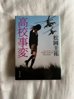 小説　高校事変