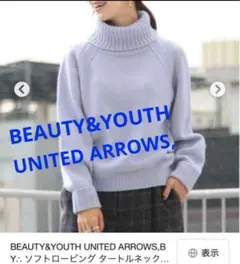 BEAUTY&YOUTH UNITED ARROWS タートル ウール ニット。