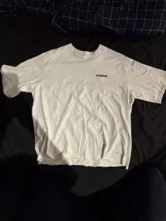 patagonia ホワイト Tシャツ Lサイズ