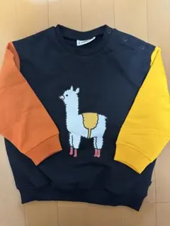 Carlijngアルパカトレーナー