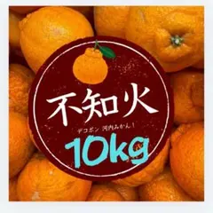 熊本特産品河内産「デコポン」甘〜い不知火みかん10kg優品☆