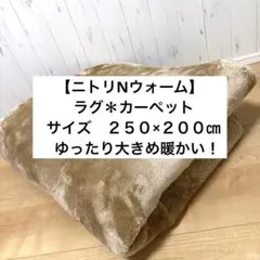【NITORI Nウォーム ラグカーペット】200x250cm ベージュ