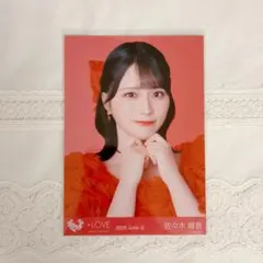 佐々木琴子 26th Birthday アクリルスタンド アッシュくんアクスタ