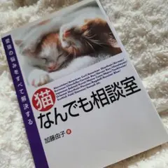 Item thumbnail for item 57a20d7a-0c1a-444a-a8e0-f2d55ecce93b