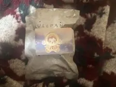 スカルパンダ SKULLPANDA L'impressionnisme