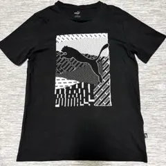 PUMA 半袖Tシャツ Mサイズ　2枚
