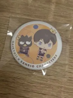 2026年最新】影山飛雄 缶バッジの人気アイテム - メルカリ