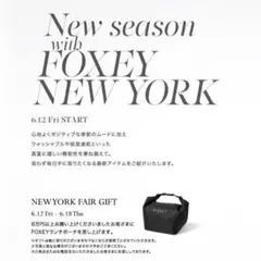2026年最新】foxey ノベルティの人気アイテム - メルカリ