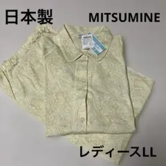 Item thumbnail for item 044f0291-62b3-4110-86db-532b94d67233